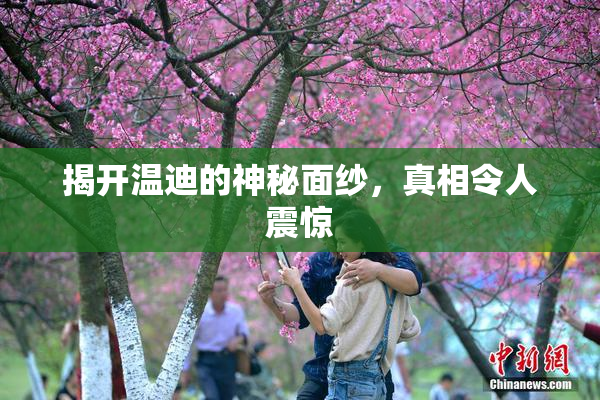 揭开温迪的神秘面纱，真相令人震惊