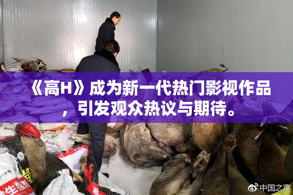 《高H》成为新一代热门影视作品，引发观众热议与期待。