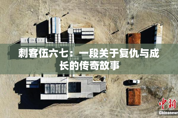 刺客伍六七：一段关于复仇与成长的传奇故事