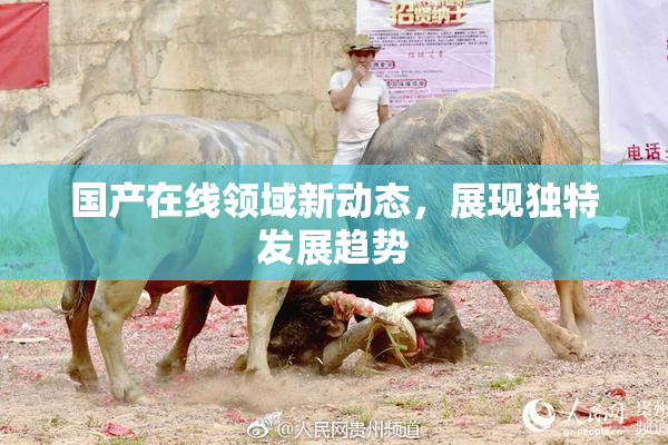 国产在线领域新动态，展现独特发展趋势