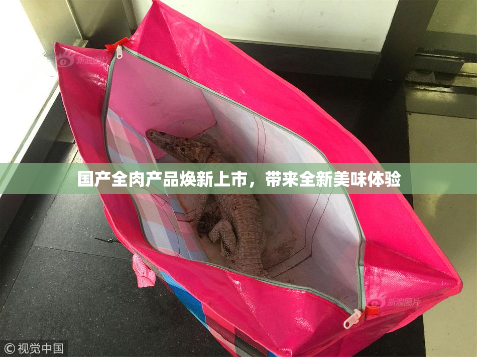 国产全肉产品焕新上市，带来全新美味体验