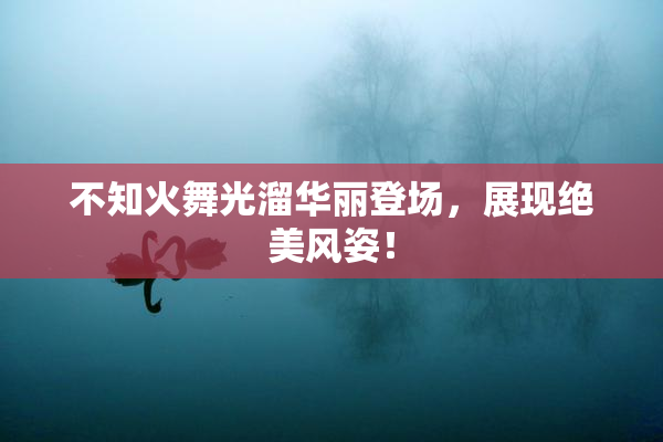 不知火舞光溜华丽登场，展现绝美风姿！