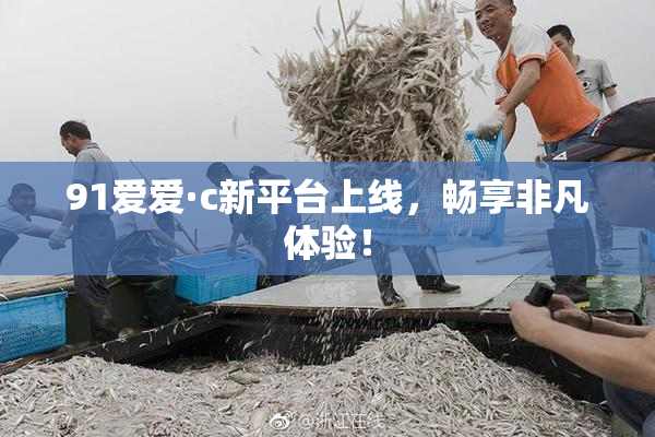 91爱爱·c新平台上线，畅享非凡体验！