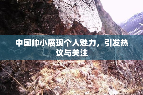 中国帅小展现个人魅力，引发热议与关注
