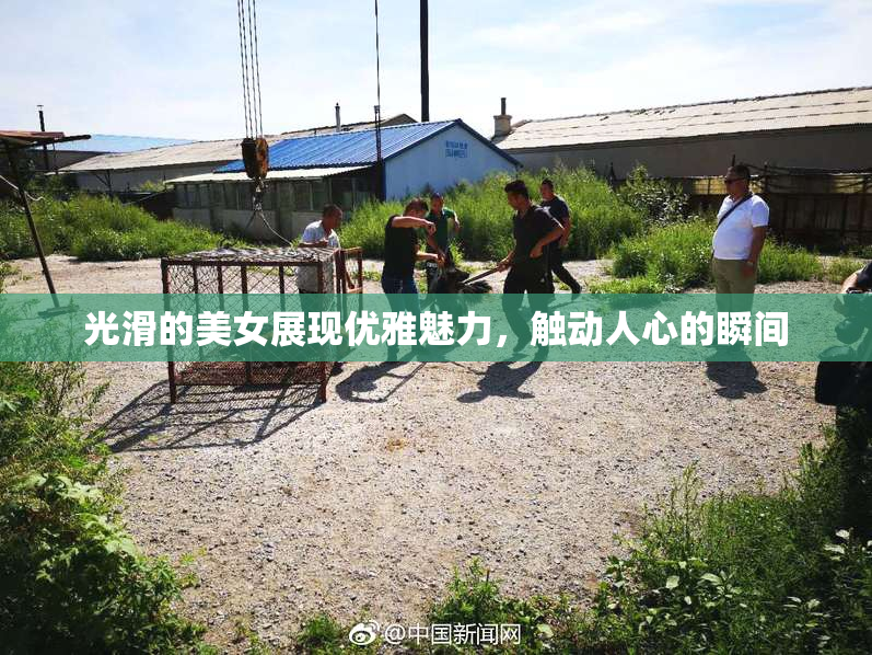 光滑的美女展现优雅魅力，触动人心的瞬间