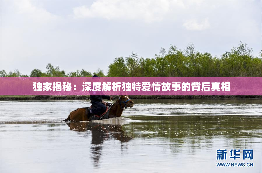 独家揭秘：深度解析独特爱情故事的背后真相