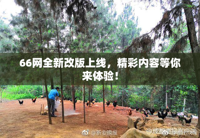 66网全新改版上线，精彩内容等你来体验！