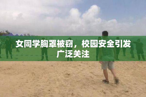 女同学胸罩被窃，校园安全引发广泛关注