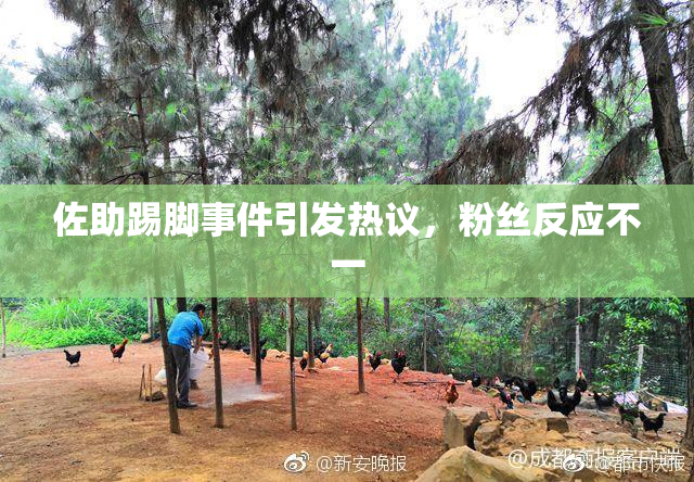 佐助踢脚事件引发热议，粉丝反应不一