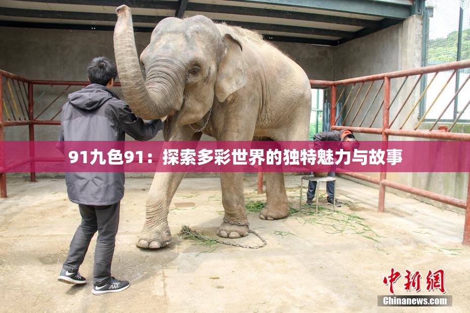 91九色91：探索多彩世界的独特魅力与故事