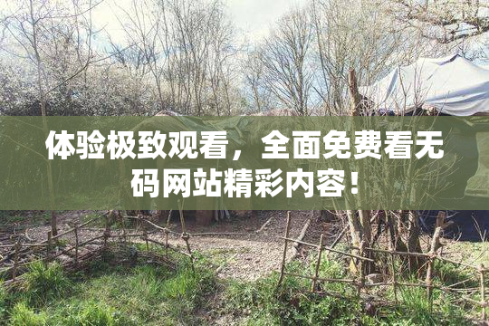 体验极致观看，全面免费看无码网站精彩内容！