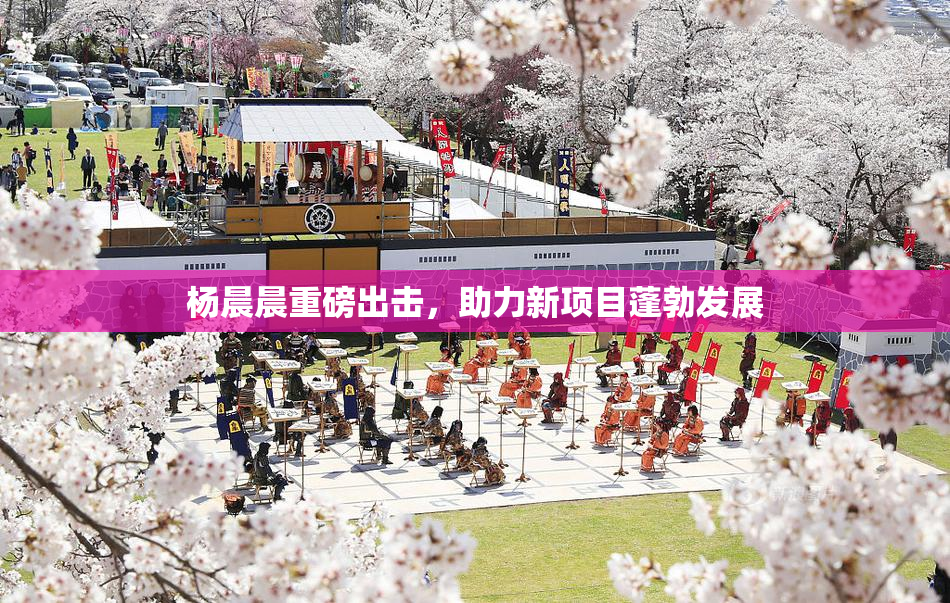 杨晨晨重磅出击，助力新项目蓬勃发展
