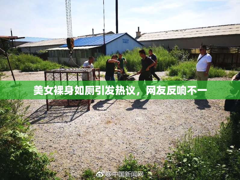 美女裸身如厕引发热议，网友反响不一