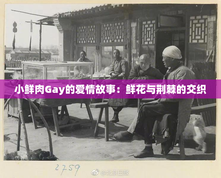 小鲜肉Gay的爱情故事：鲜花与荆棘的交织