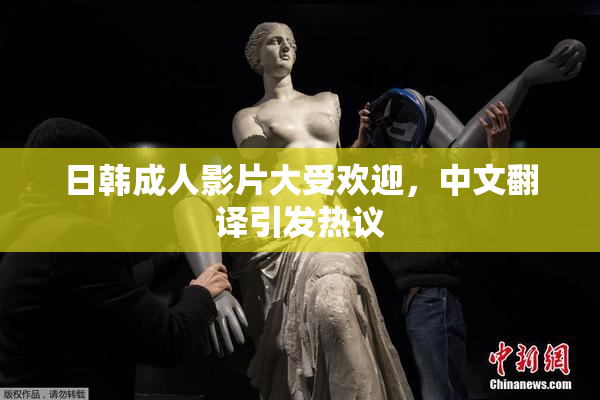 日韩成人影片大受欢迎，中文翻译引发热议