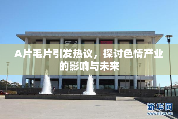 A片毛片引发热议，探讨色情产业的影响与未来