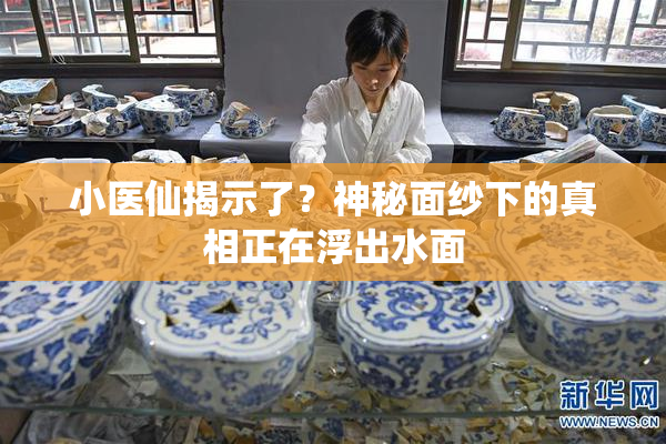 小医仙揭示了？神秘面纱下的真相正在浮出水面