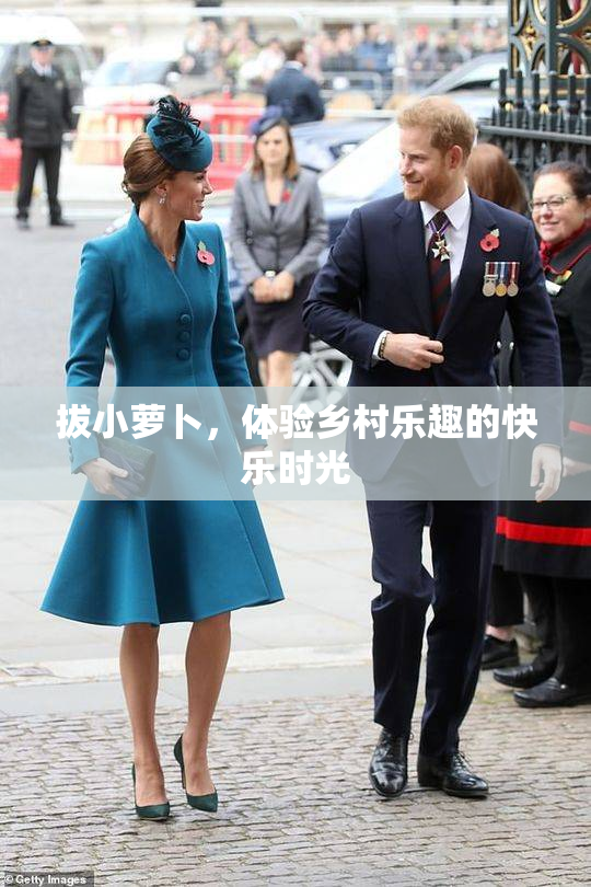 拔小萝卜，体验乡村乐趣的快乐时光