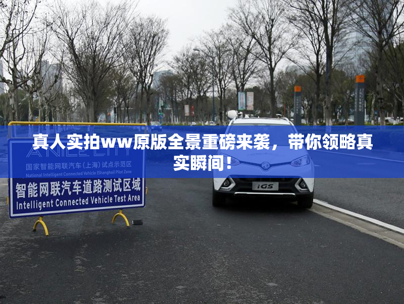 真人实拍ww原版全景重磅来袭，带你领略真实瞬间！