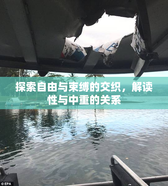 探索自由与束缚的交织，解读性与中重的关系