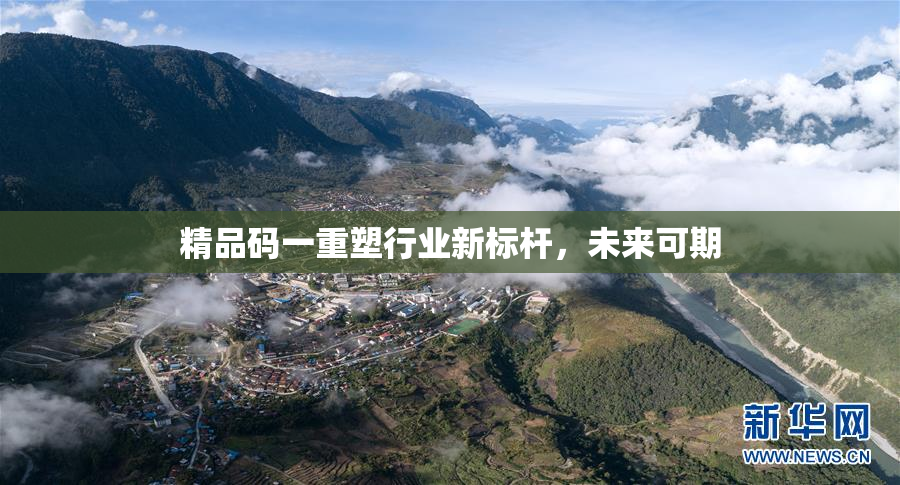 精品码一重塑行业新标杆，未来可期