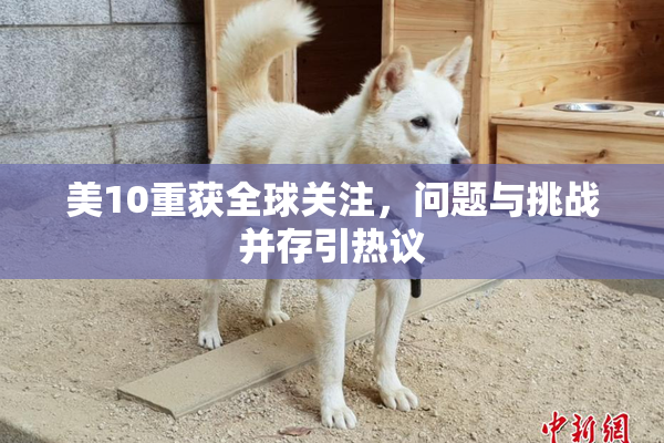 美10重获全球关注，问题与挑战并存引热议