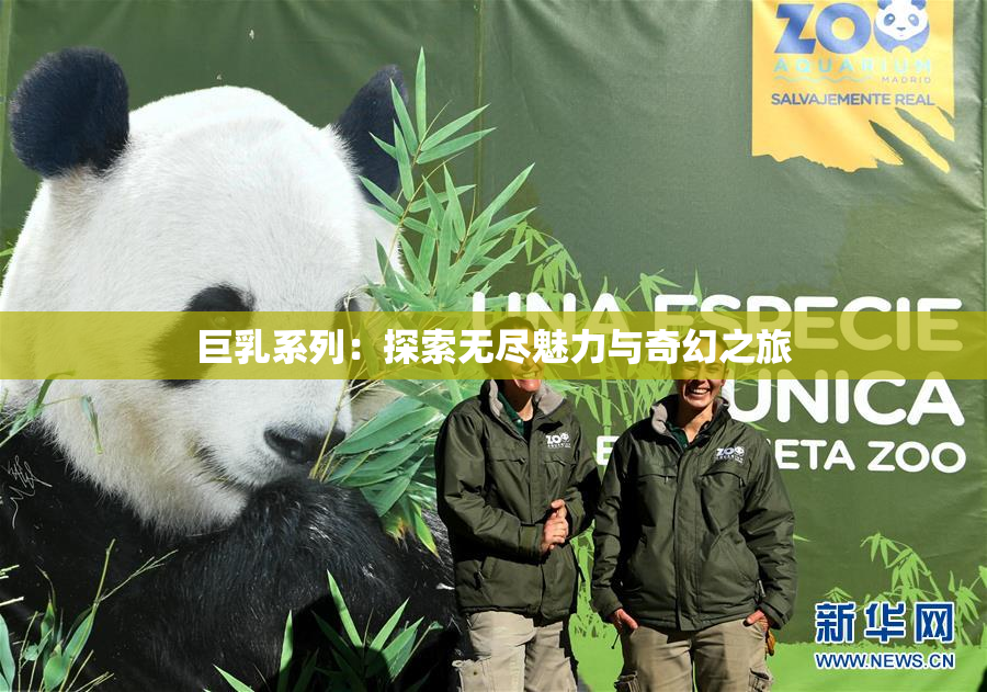 巨乳系列：探索无尽魅力与奇幻之旅