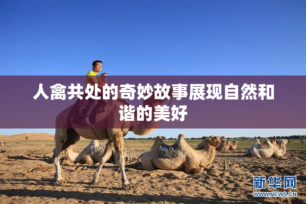 人禽共处的奇妙故事展现自然和谐的美好