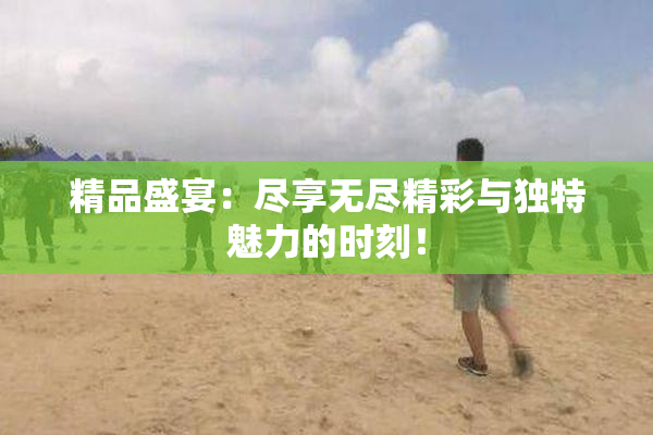 精品盛宴：尽享无尽精彩与独特魅力的时刻！