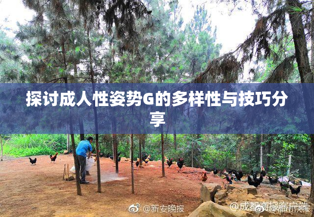 探讨成人性姿势G的多样性与技巧分享