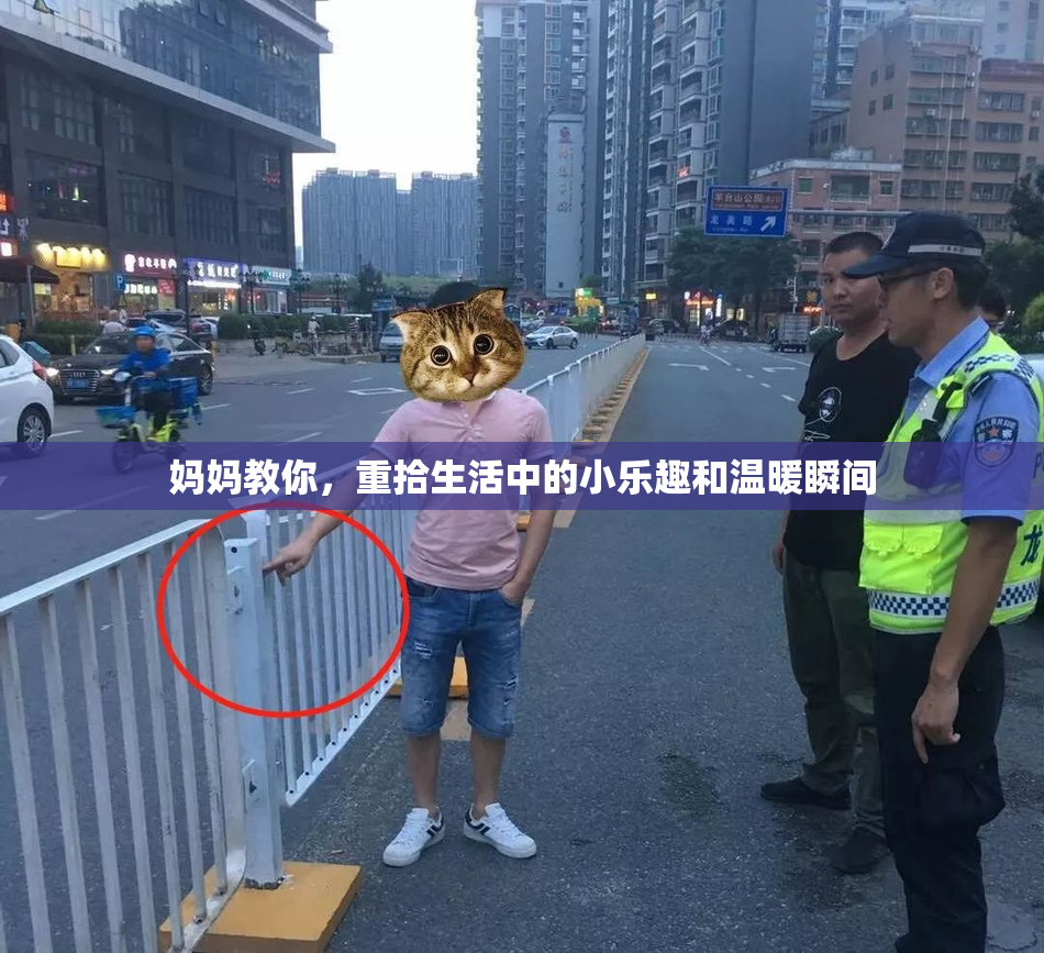 妈妈教你，重拾生活中的小乐趣和温暖瞬间