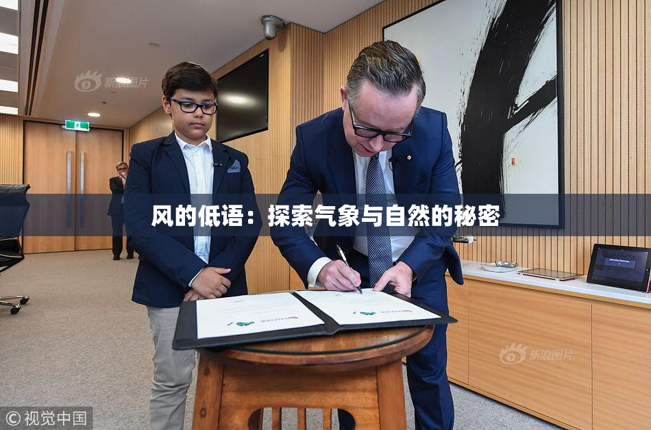 风的低语：探索气象与自然的秘密