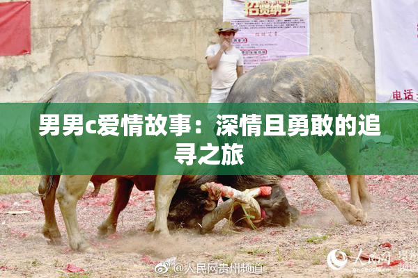 男男c爱情故事：深情且勇敢的追寻之旅