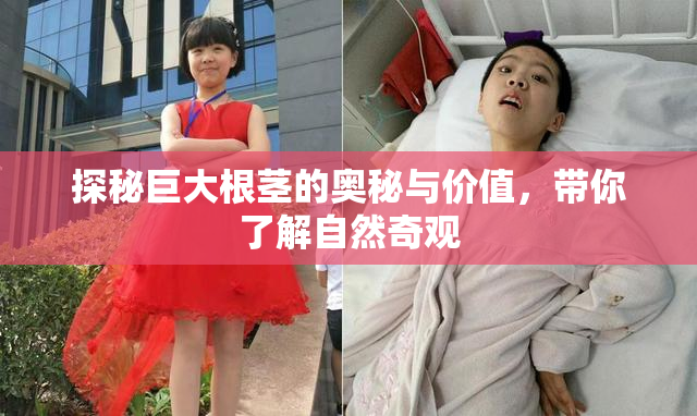 探秘巨大根茎的奥秘与价值，带你了解自然奇观