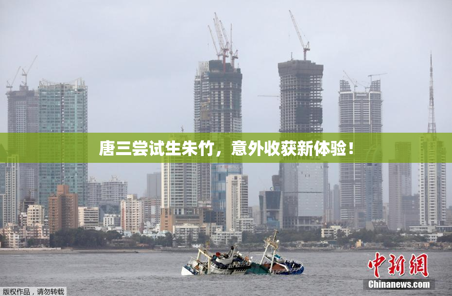 唐三尝试生朱竹，意外收获新体验！