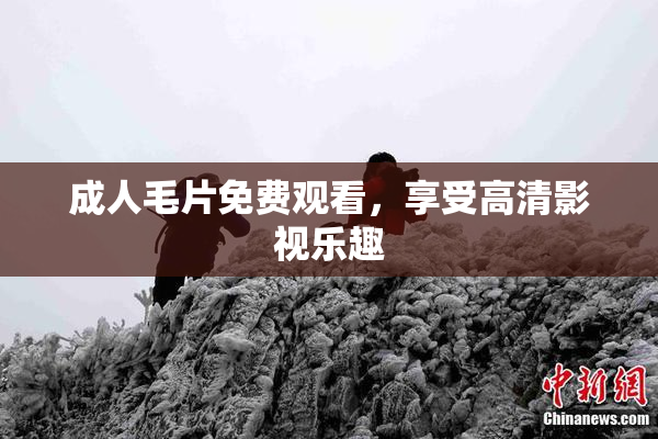 成人毛片免费观看，享受高清影视乐趣