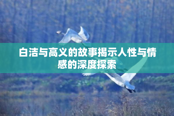 白洁与高义的故事揭示人性与情感的深度探索