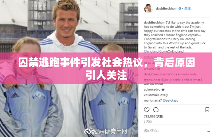 囚禁逃跑事件引发社会热议，背后原因引人关注