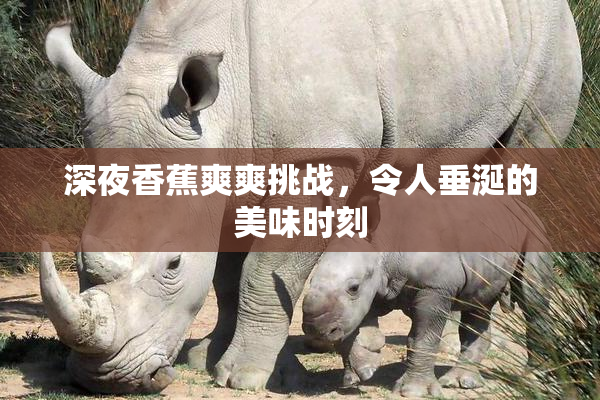 深夜香蕉爽爽挑战，令人垂涎的美味时刻