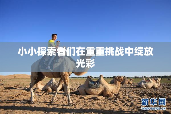 小小探索者们在重重挑战中绽放光彩