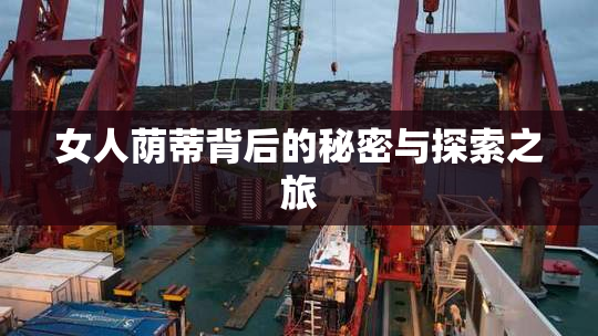 女人荫蒂背后的秘密与探索之旅