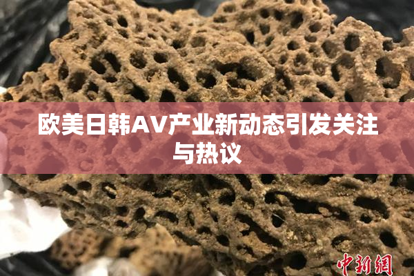 欧美日韩AV产业新动态引发关注与热议