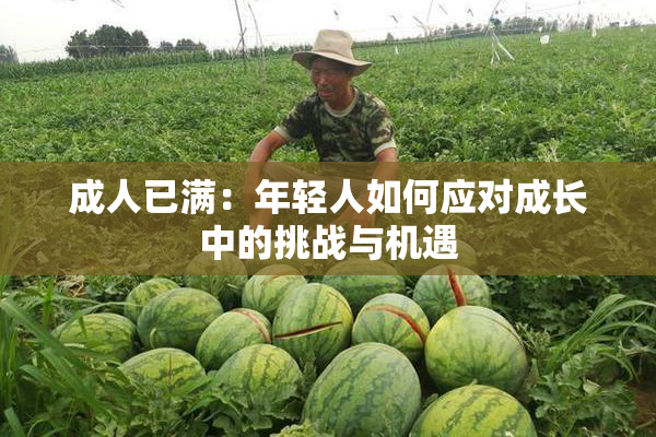 成人已满：年轻人如何应对成长中的挑战与机遇