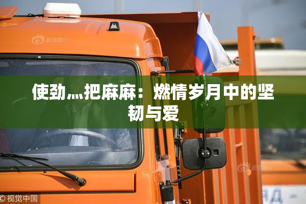 使劲灬把麻麻：燃情岁月中的坚韧与爱