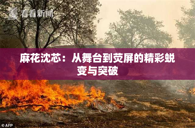 麻花沈芯：从舞台到荧屏的精彩蜕变与突破