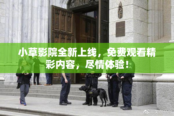 小草影院全新上线，免费观看精彩内容，尽情体验！