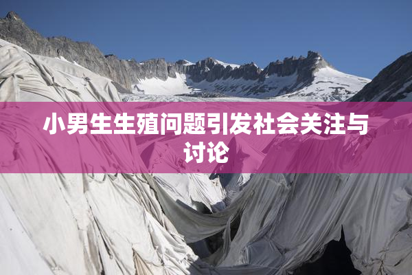 小男生生殖问题引发社会关注与讨论