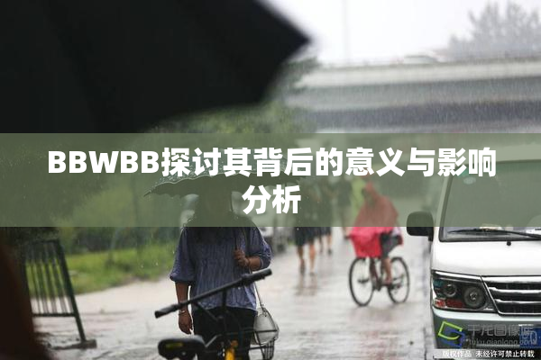 BBWBB探讨其背后的意义与影响分析