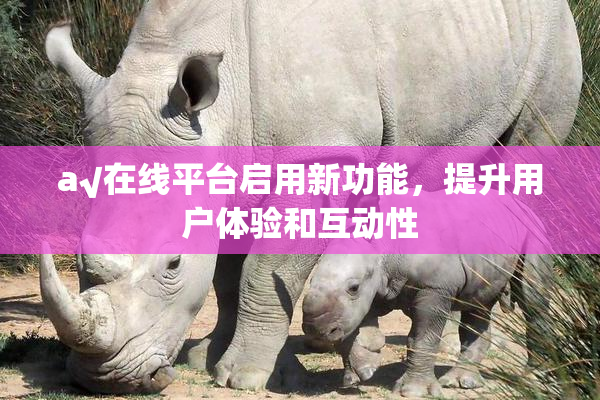 a√在线平台启用新功能，提升用户体验和互动性