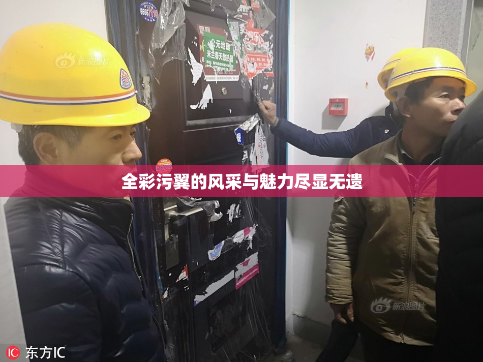 全彩污翼的风采与魅力尽显无遗